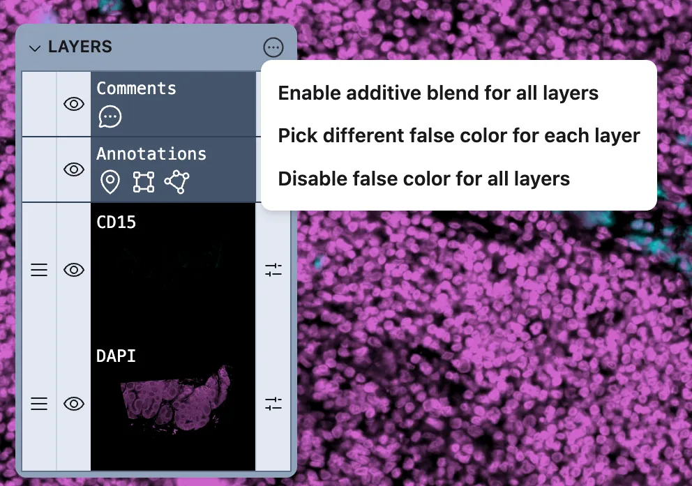 The Bulk Layer Actions menu