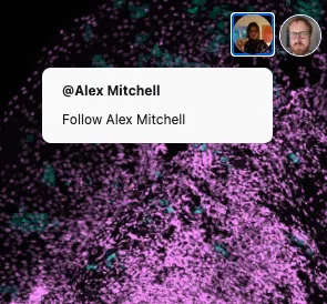 Follow a user from their avatar icon top-right