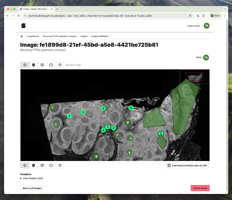 The old image viewer